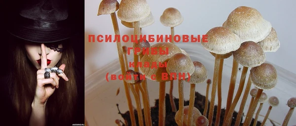 ECSTASY Абинск