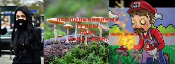 apvp Нязепетровск