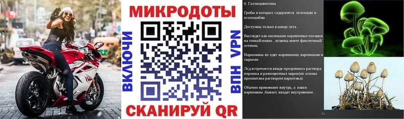 блэк спрут зеркало  наркошоп  Ялта  Галлюциногенные грибы Psilocybe 