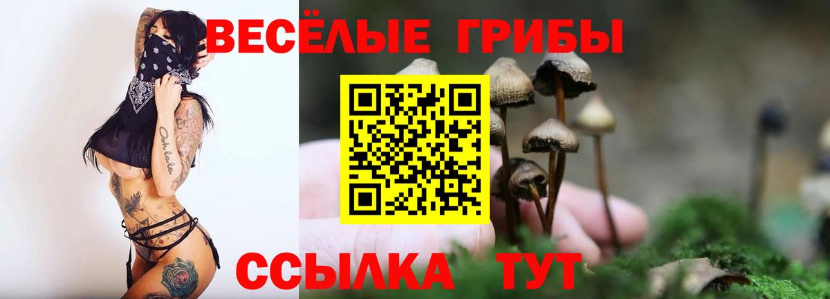 Ялта  как найти закладки  Псилоцибиновые грибы Psilocybe  Вход с VPN  Псилоцибиновые грибы мицелий 